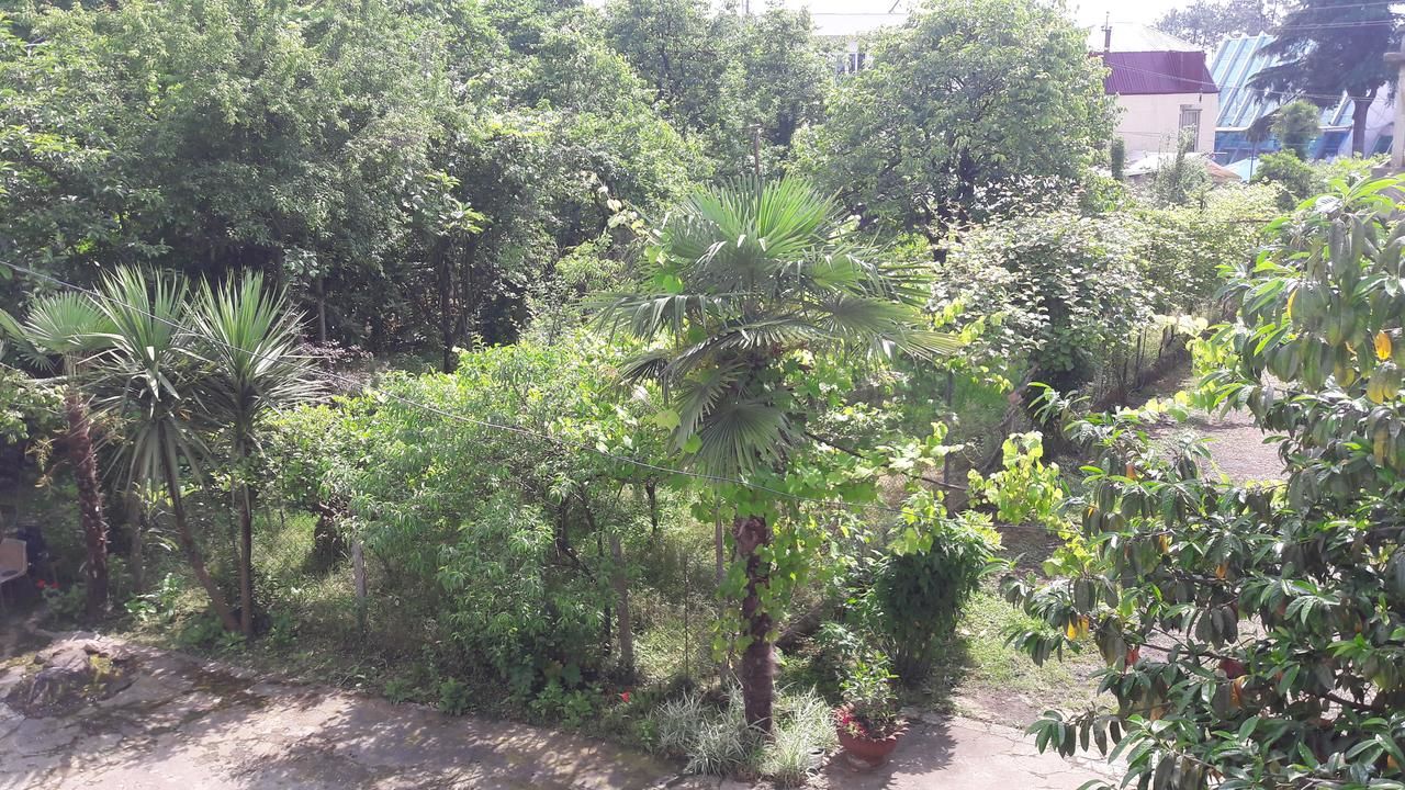 Гостевой дом Avto House Батуми-38