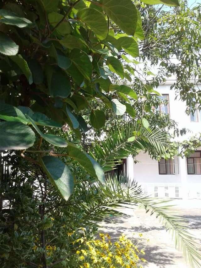 Гостевой дом Avto House Батуми-5